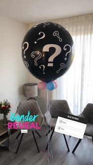 Gender Reveal ballon