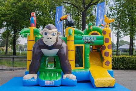 Springkussen Multiplay L Monkey 