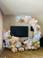 Organic ballonboog Genderreveal